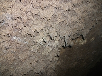 otta monte Cicirello-22042012 021